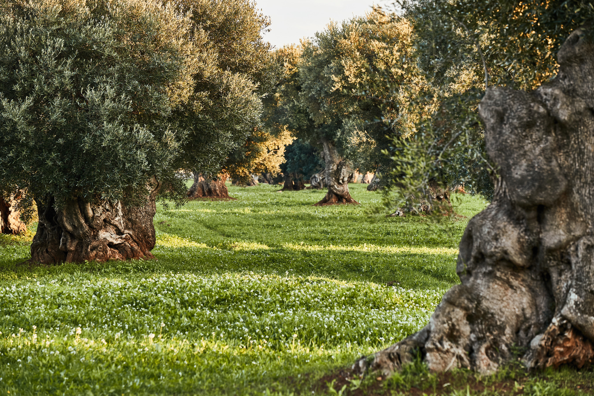 Tietosuojakäytäntö Toimittajat