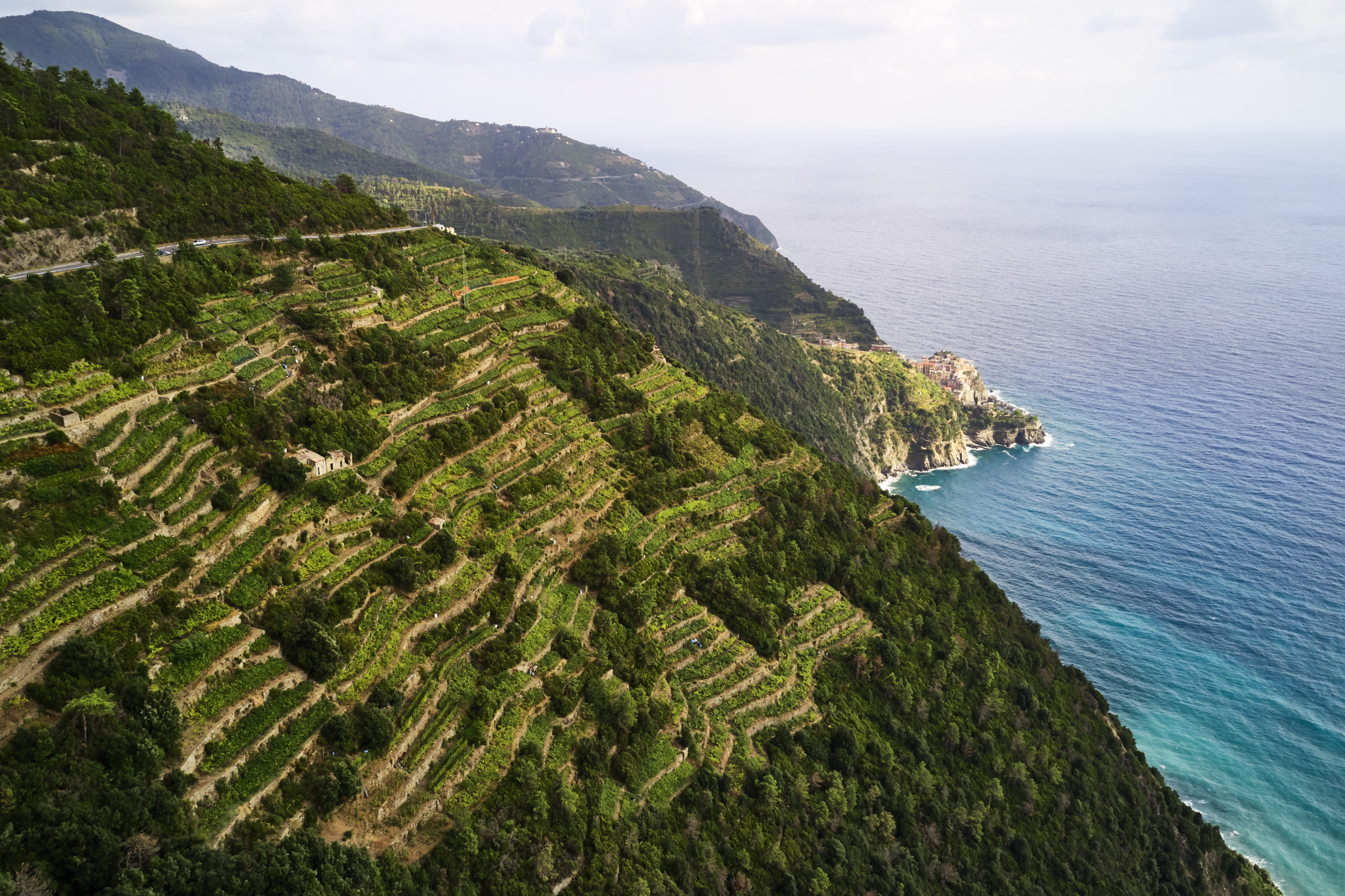 MAAILMANLAAJUINEN VERKOSTO