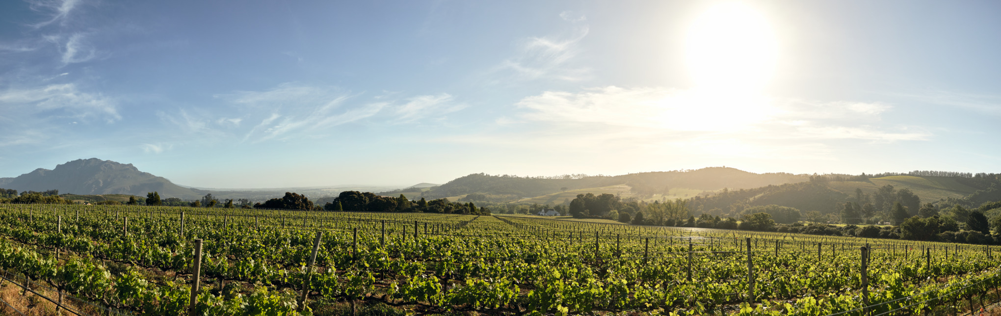 STIHL-myyntiyhtiöt Afrikassa