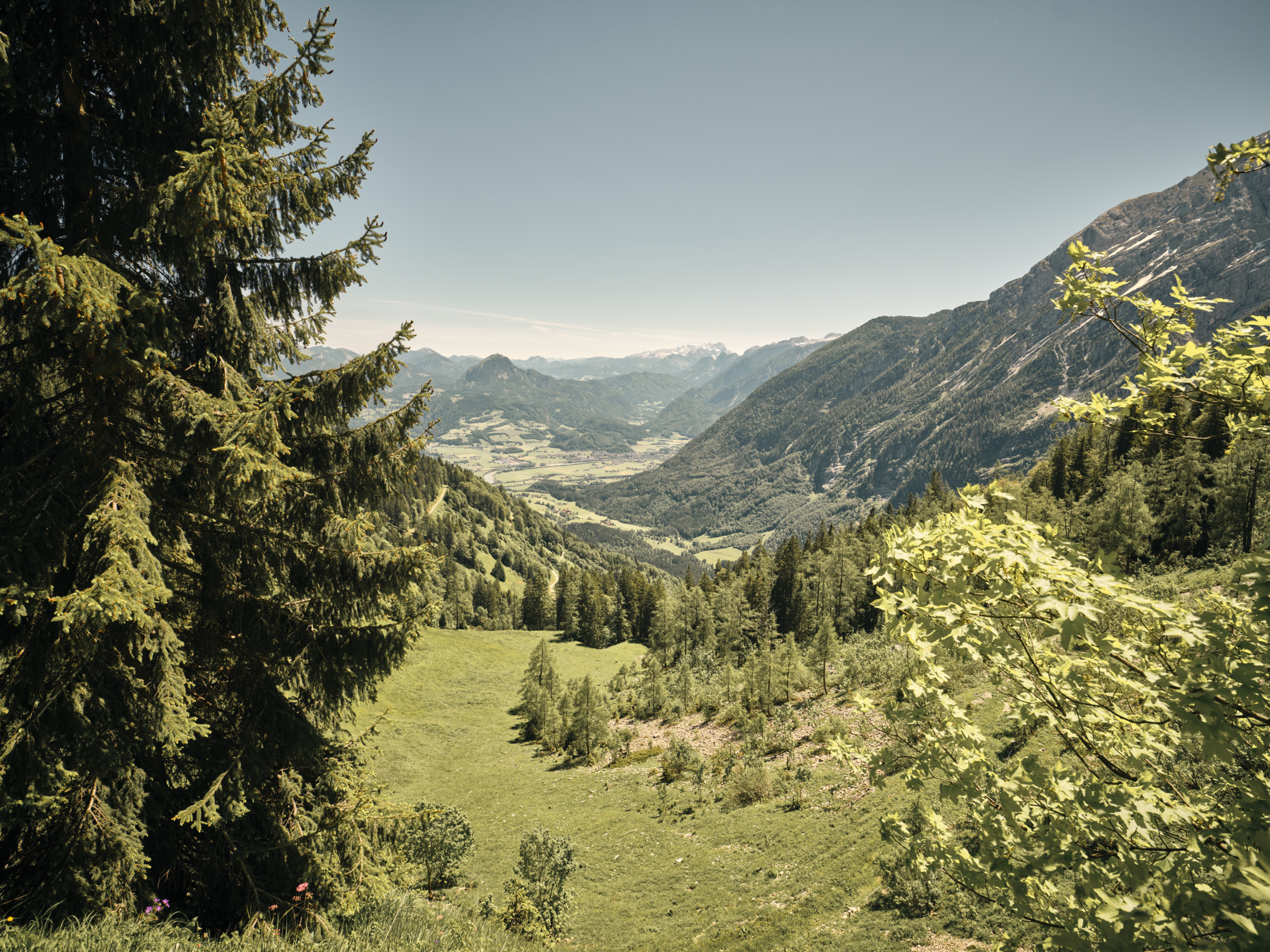 Kestävän kehityksen raportti 2021