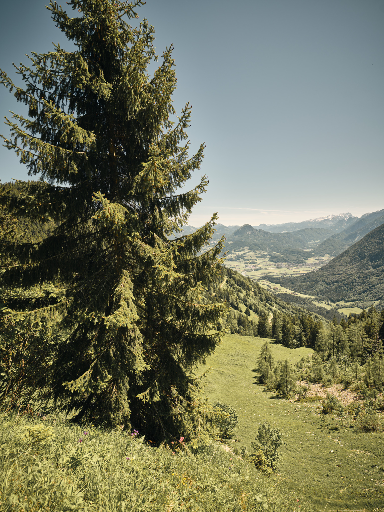 Kestävän kehityksen strategia