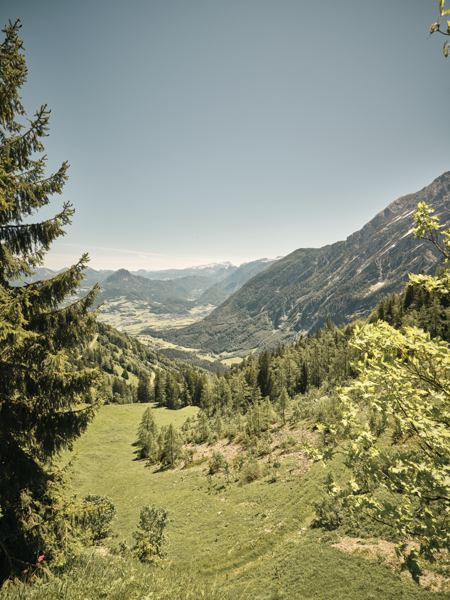 Stihlin kestävän kehityksen raportti